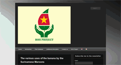 Desktop Screenshot of bhsproject.com